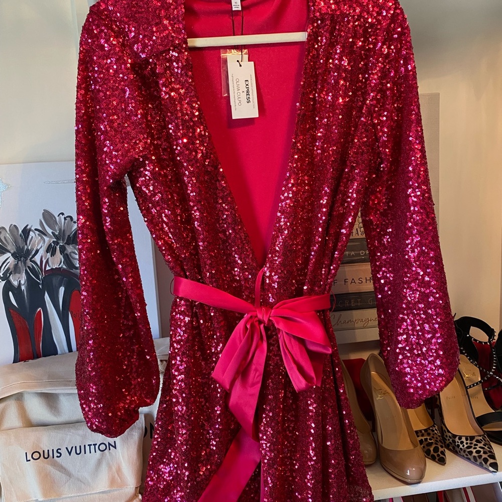 NWT express Olivia Culpo Hot Pink Sequined Party dress